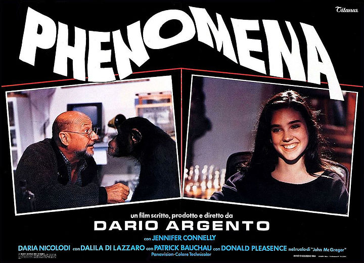 PHENOMENA